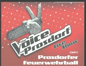 Balleinlage 2013 | The Voice of Prosdorf